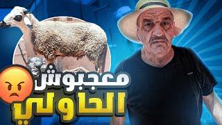 لوليد معجبوش الحولي ديال عيد الاضحى