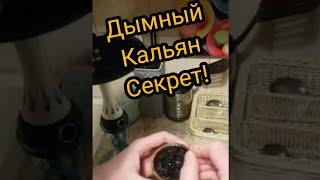 Забиваем дымный кальян.