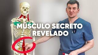 Este músculo, que fue descubierto en la URSS y escondido durante 120 años, y desclasificado en 2023.