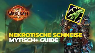 Nekrotische Schneise GUIDE | Resto Shaman POV + Kommentar | WoW TWW Mythic+ | Necrotic Wake