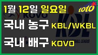 [국내 분석] 1월 12일 일요일 KBL WKBL KOVO 경기분석 #스포츠분석 #토토분석 #농구분석 #배구분석 #NBA분석