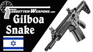 Gilboa Snake: Is the Double-AR Really so Dumb? (Re-Cut for YouTube)