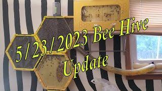 3D Printed Bee Hive Update