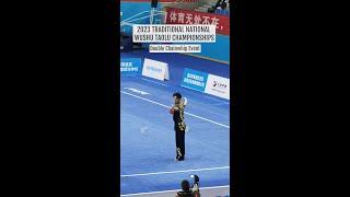 [2023] Double Chainwhip - Traditional Wushu Taolu National Championships