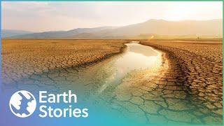 Can Scientists Save Our Earth? | Earth's Survival