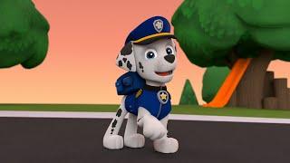 Trick or Treat (PAW Patrol)