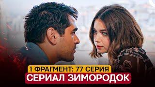 1 ФРАГМЕНТ! Турецкий сериал Зимородок 77 серия русская озвучка