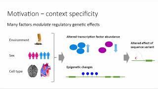 E04.1 Using expression data to understand the genetics of disease