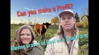 Can You make a Profit Selling Grass Fed Beef? 6 acre Small Farm Perspective!