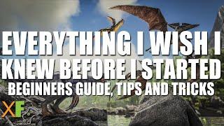 Everything I Wish I Knew Before I Started Ark: Survival Evolved: 2019 Guide + Tips and Tricks