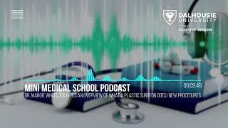 Mini Medical School Podcast - An Overview of Plastic Surgery with Dr. Margie Wheelock