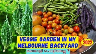 My Veggie Garden in Melbourne - 2022 / Organic Gardening / How to Grow Veggies / Jyju’s Home Videos