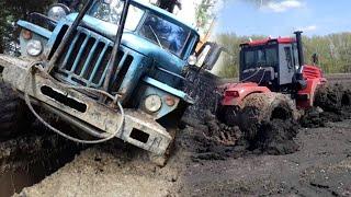 Застрявшие грузовики и трактора в грязи.