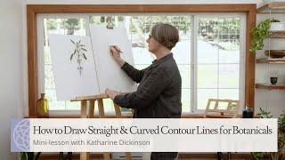 How to Draw Straight & Curved Contour Lines for Botanicals | Mini-lesson with Katharine Dickinson