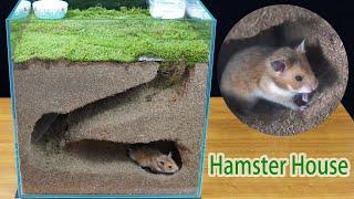 how to make diy hamster hideout-how to make hamster house in aquarium