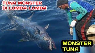 Tuna Fishing in Dolphins. Indonesian Traditional Handline Mania Fishing Techniques
