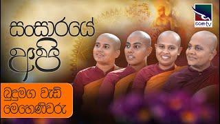 සංසාරේ අපි | බුදුන් මග වැඩි මෙහෙණිවරු | Sansare Api