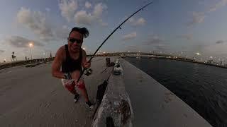 Jaddaf Fishing Spot, Free Fishing Spot in Dubai 2024