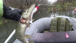 Caught only with two lures. November pike catch.