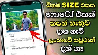 How to add Full Size image on Whatsapp profile photo without cropping  2021 Shark boy sl Sinhala