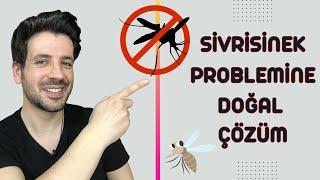 Sivrisinek Sorununa Kesin Çözüm - Doğal Sivrisinek Kovucu Yapımı