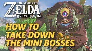 How to Defeat Breath of the Wild's Mini-Bosses