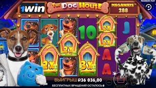 THE DOG HOUSE MEGAWAYS ВОТ ЭТО ПОВОРОТ! #казино #слоты #заносынедели #1win #pragmaticplay