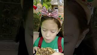 Dad what kind of cookie is a Snickerdoodle? Epcot Festival of the Holidays! #shorts