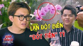 KỲ ÁN 13: Buôn "LAN ĐỘT BIẾN" Tậu Dinh Thự, Thiếu Gia VỠ NỢ "ĐỐT TIỀN" TỶ ?? | Anh Thám Tử Season 2