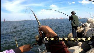 Cepet banget ‼️ Kalian pasti bisa along nyobain tehnik jeblukan || Dam ijo priok panen strek