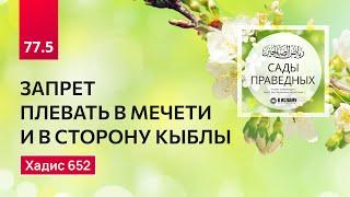 77.5 Сады праведных. ЗАПРЕТ ПЛЕВАТЬ В МЕЧЕТИ И В СТОРОНУ КЫБЛЫ. Хадис 652. Ринат Абу Мухаммад