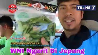 WNI Ngarit Di Jepang Masuk Spotlite Tran7