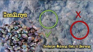 CARA MENCARI KERANG DI LAUT DAN CARA BEDAIN LUBANG BATU DAN LUBANG KERANG ...‼️