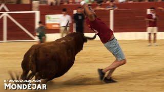 III TORO DE LA ASOCIACIÓN TAURINA de MONDÉJAR ``OVEJERO´´ 2024