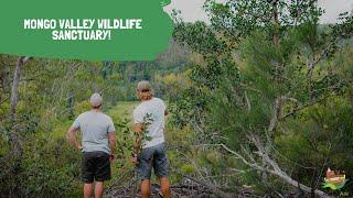 MONGO VALLEY WILDLIFE SANCTUARY