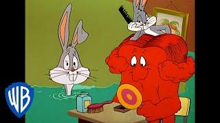 Looney Tunes | Let's Give Gossamer a Hairdo | Classic Cartoon | WB Kids