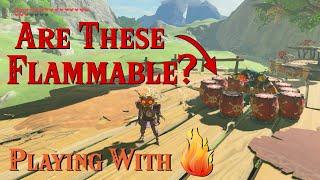 Playing With Fire | The Legend of Zelda: Breath of the Wild