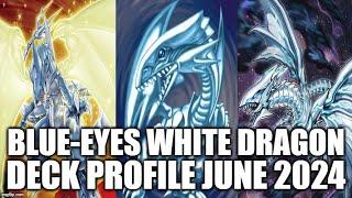 BLUE-EYES WHITE DRAGON DECK PROFILE (JUNE 2024) YUGIOH!