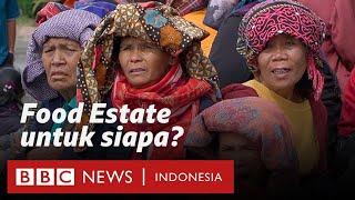 Food Estate Sumatra Utara: 'Ini lumbung pangan untuk siapa?' - BBC News Indonesia