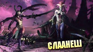 СЛААНЕШ И ЕЁ ГЕДОНИСТЫ В Total War: WARHAMMER III