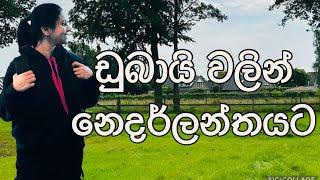 Job එකෙන් මට ලැබුණු හොදම තෑග්ග | europ toure | netherlands |dubai to netherlands