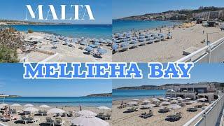 Mellieha Bay Walking Tour 2024 || Mellieha Bay ||Malta  [ 4K ] [60 fps]