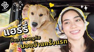 ทริปนี้แฮร์รี่ขอพา หมาก-คิม ไปผจญภัยด้วยกันครั้งแรก  ️| Bookmark