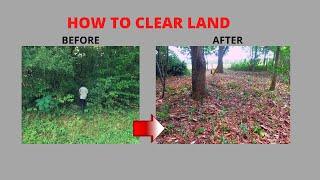 HOW TO CLEAR FOREST LAND WITH HAND TOOLS(CHEAP )