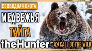 theHunter Call of the Wild #12  - Медвежья Тайга (часть 1) - Свободная Охота