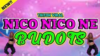 Nico Nico Ni - Tiktok Viral Budots2024 - DjElino Remix