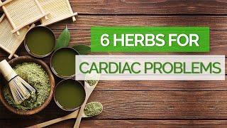 How Herbal Medicine Can Help With Cardiac Problems And 6 Herbal Remedies