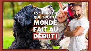 Les 5 erreurs que tout le monde commet en adoptant un chien !