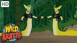 Wild Kratts | To Touch a Hummingbird | Full Episode | Season 2