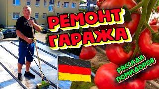 Сажаем помидоры и огурцы. Ремонт крыши гаража. Блог жизнь в Германии.